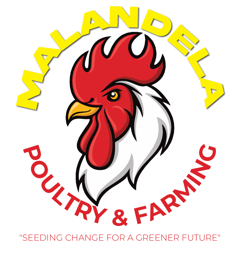 Malandela Logo Malandela Logo
